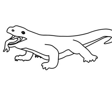 komodo dragon
