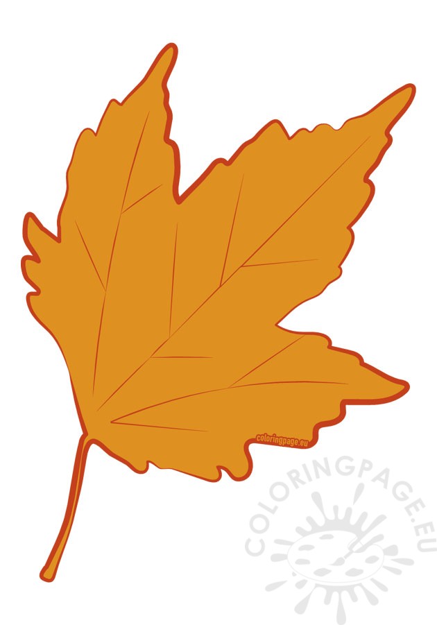 orange autumn leaf 2