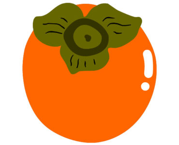 persimmon