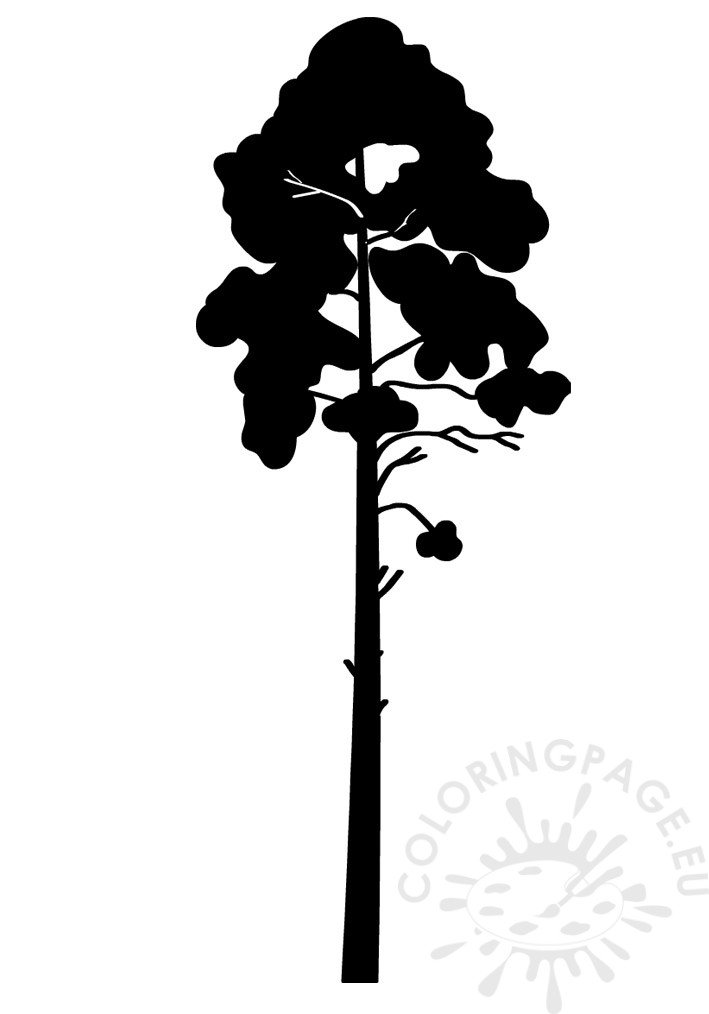 pine tree silhouette