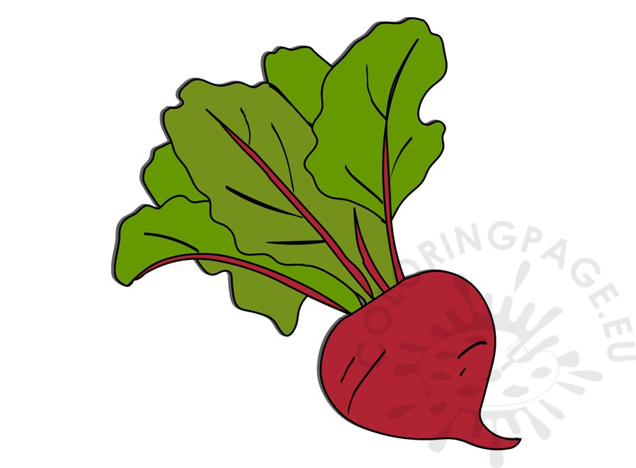 red beetroot