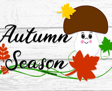 autumn season 2