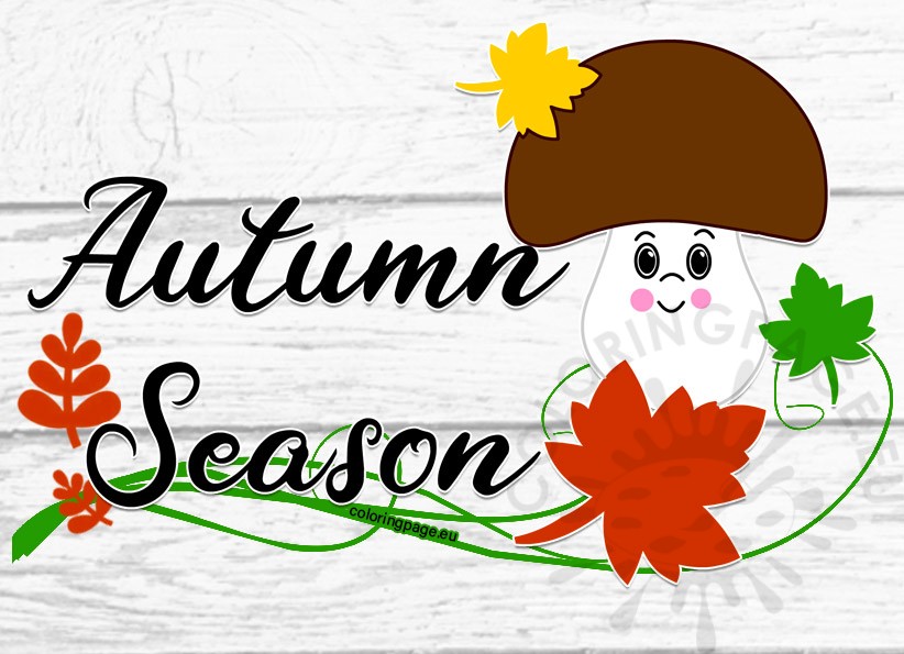 autumn season 2