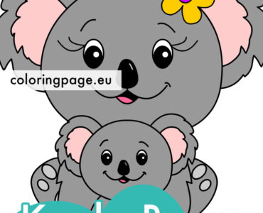 koala bears