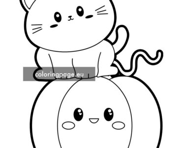 pumpkin cat halloween