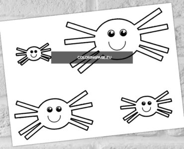 spiders outline