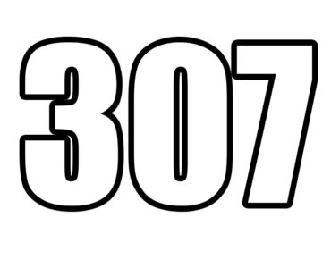 307 number
