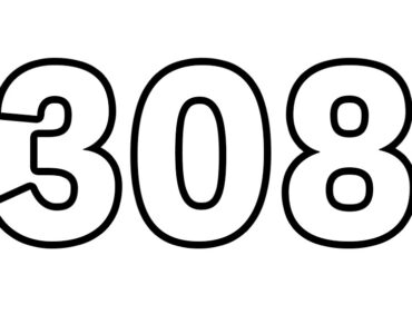 308 number 1