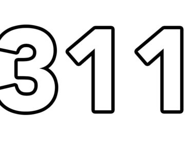 311 number