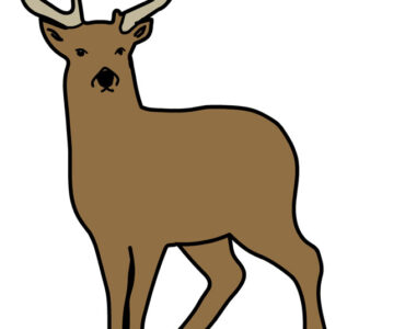deer in the snow