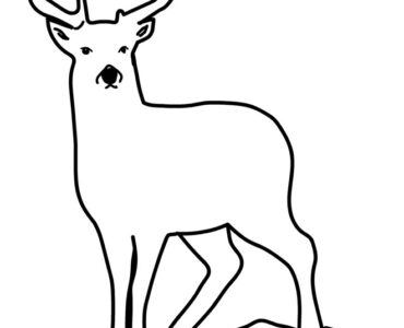 realistic deer