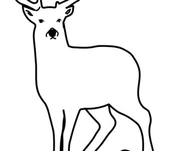 realistic deer