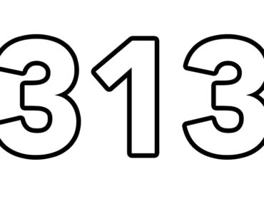 313 number