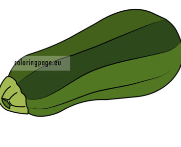 vegetable marrow