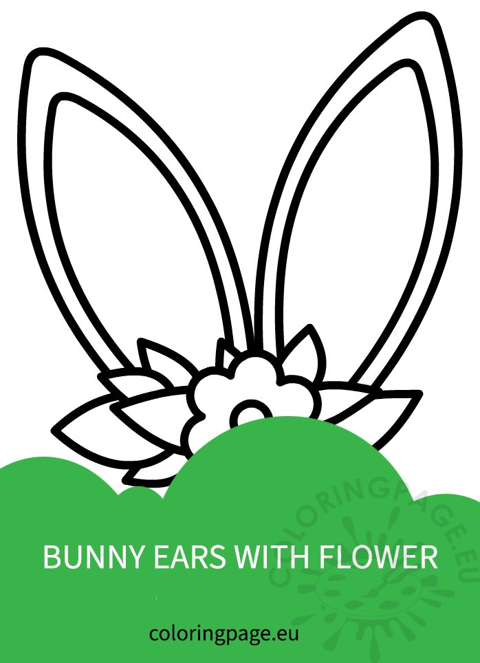 bunny ears beautiful flower