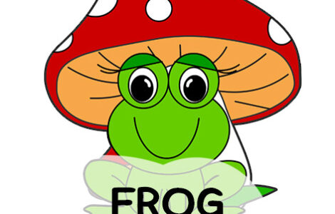 frog mushroom