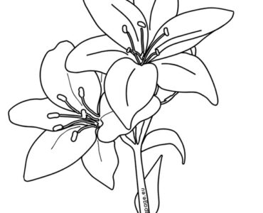 lilies flower