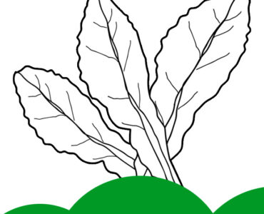 kale