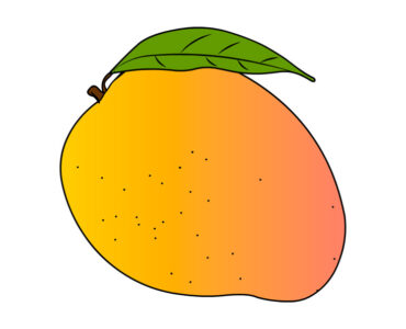 mango fruit image