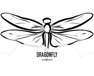 stylized dragonfly