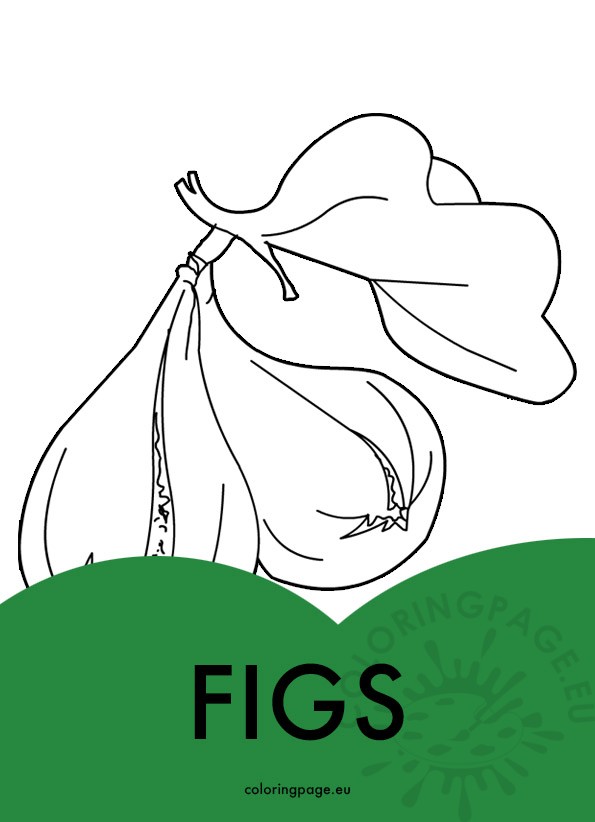 figs image