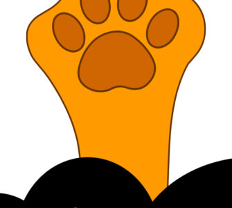 ginger cat paw