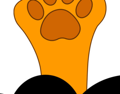 ginger cat paw