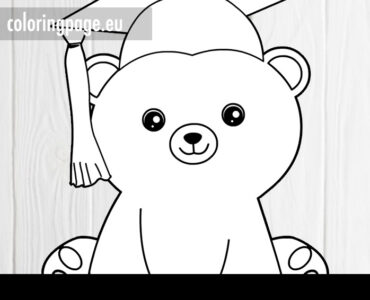 kawaii graduation bear