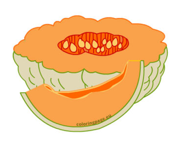 melon