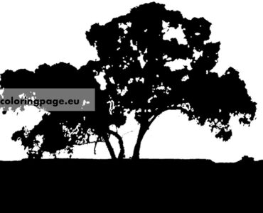 australian tree silhouette