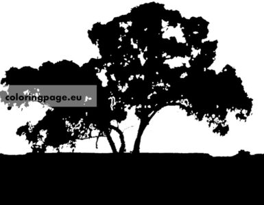australian tree silhouette