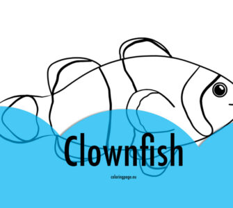 clownfish