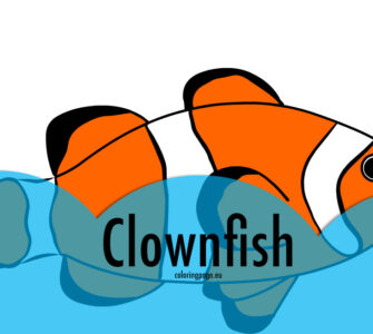 clownfish image