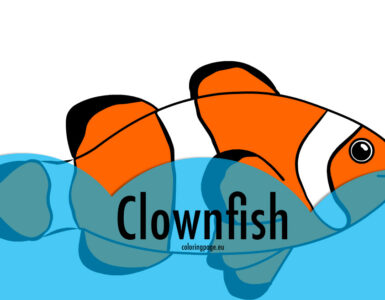 clownfish image