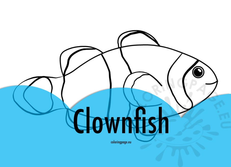 clownfish