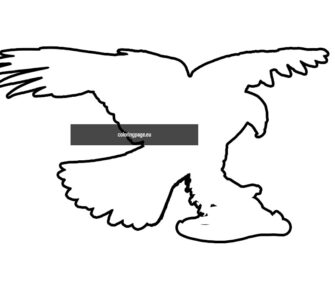 eagle shape