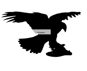 eagle silhouette