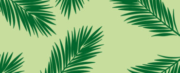 pattern palm leaves