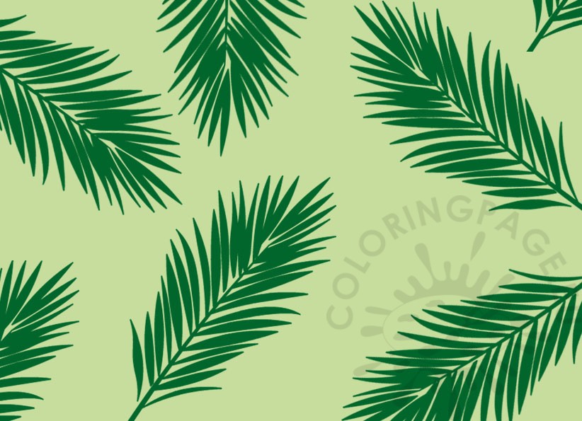 pattern palm leaves