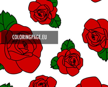 red rose pattern