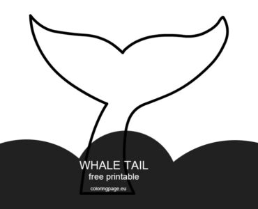 whale tail outline