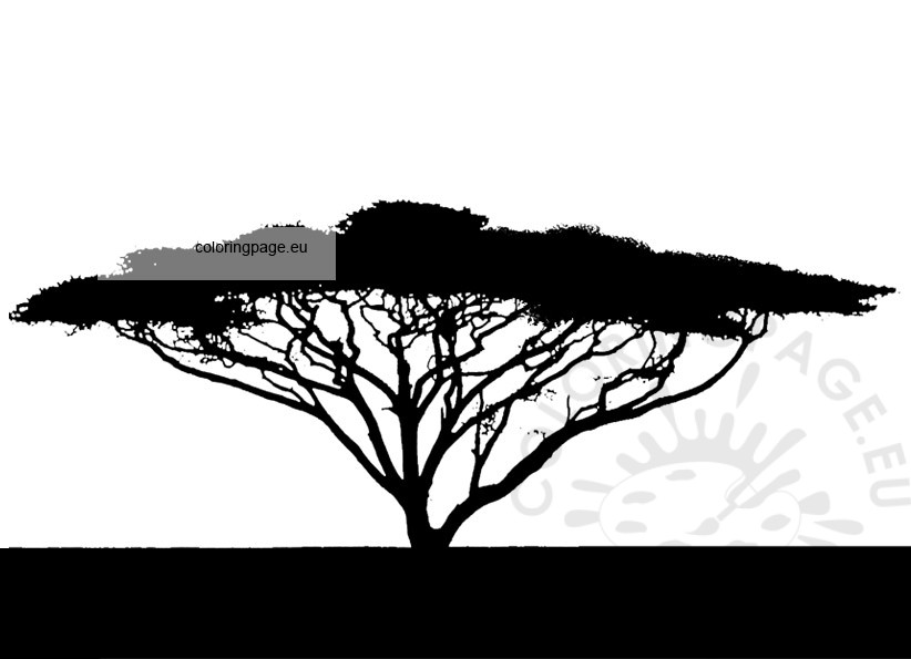 african tree silhouette