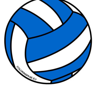 blue white volleyball