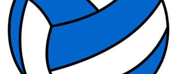 blue white volleyball