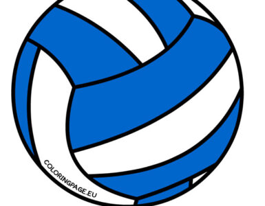 blue white volleyball