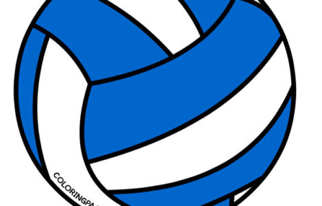 blue white volleyball