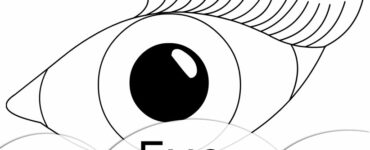 eye