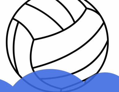 volleyball ball