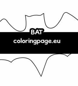 bat