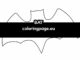 bat